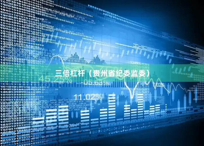 三倍杠杆（贵州省纪委监委）