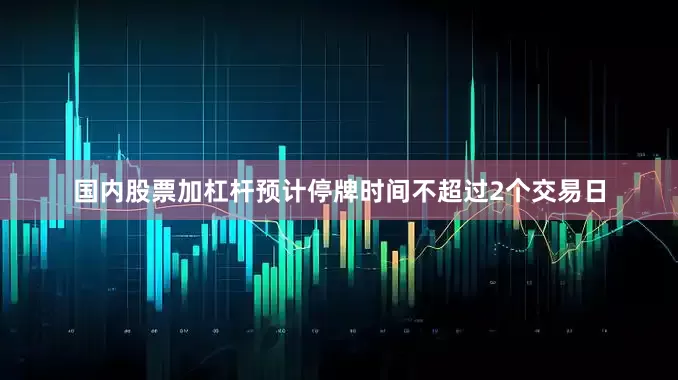 国内股票加杠杆预计停牌时间不超过2个交易日