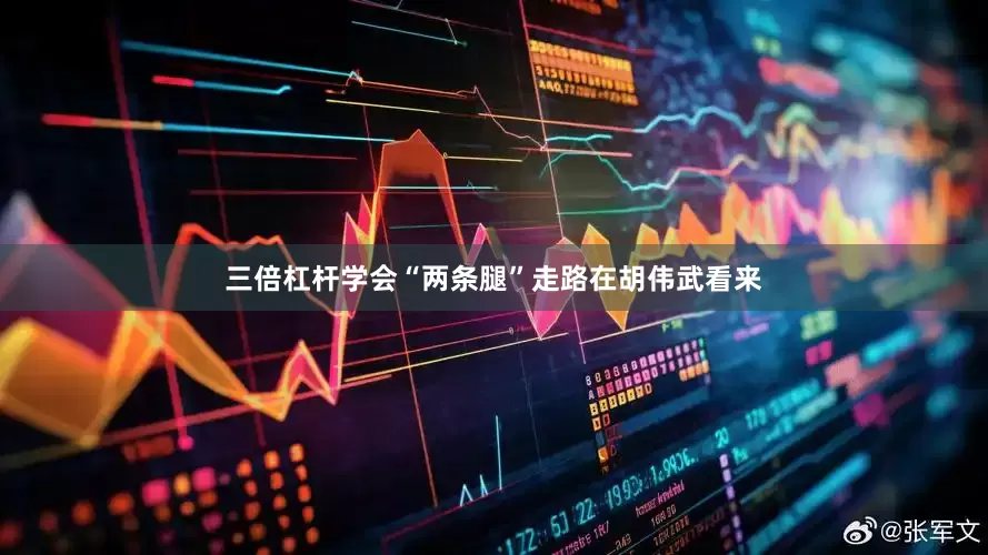 三倍杠杆　　学会“两条腿”走路　　在胡伟武看来